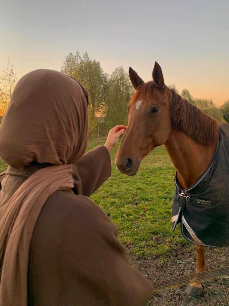 صور افتار خيل وبنت 1