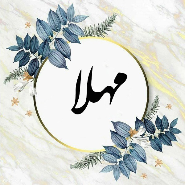 مهلا فلسفه