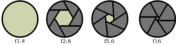 diaphragm.jpg