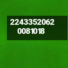 22433520620081018.gif