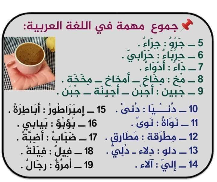 جموع مهمة اللغة العربية