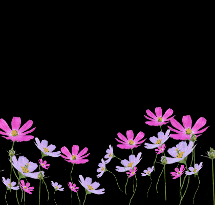 روحي