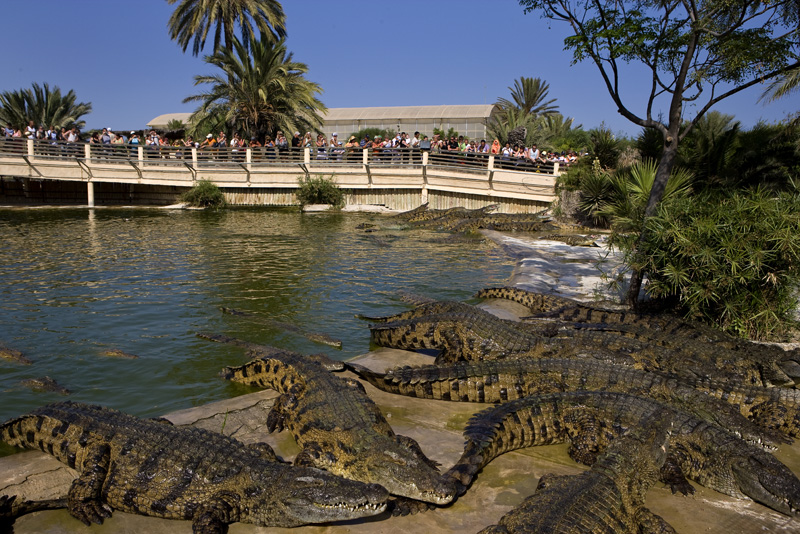 affluencedjerba.jpg