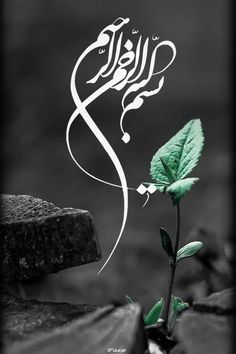 واثق الخطى يمشي ملكا