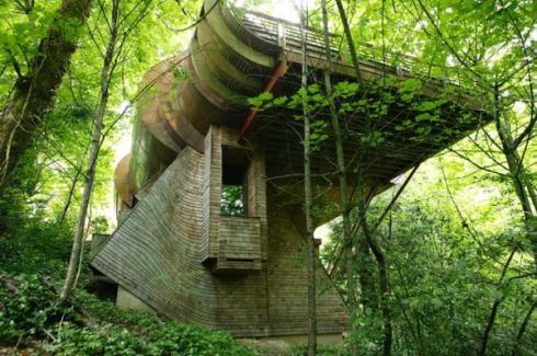 unusual-tree-house.jpg