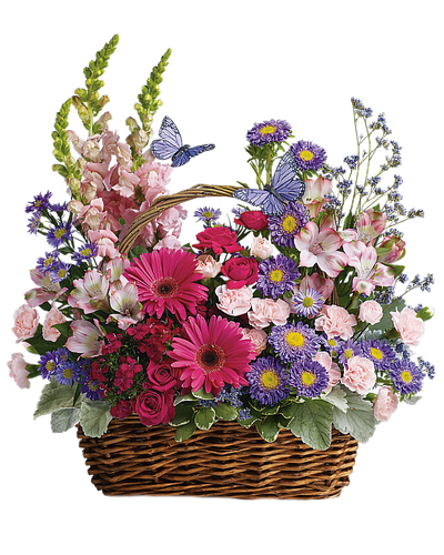 0_d32e1_2373f259_L.png