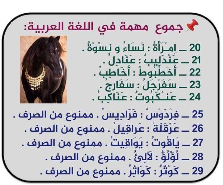 جموع مهمة اللغة العربية