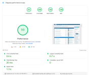 Screenshot 2024-06-16 at 21-48-14 PageSpeed Insights.png