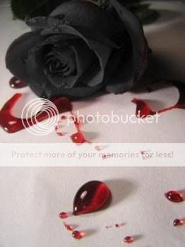 blackrose.jpg