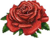 190038fkk2093bmi.gif
