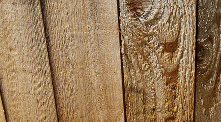 woodtextures9.jpg