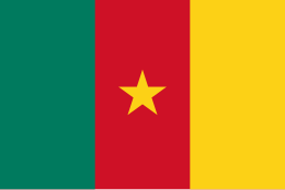 260px-Flag_of_Cameroon.svg.png